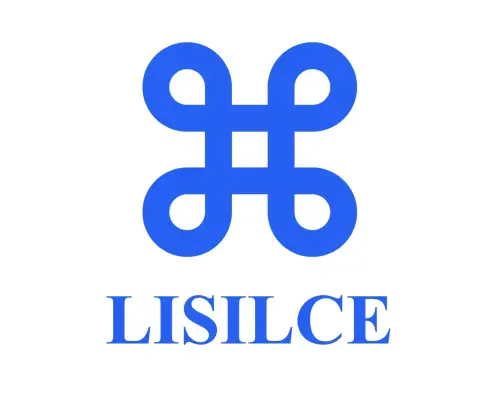 Servicio de Consultoría de Aduanas